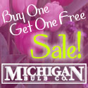 buy one get one free